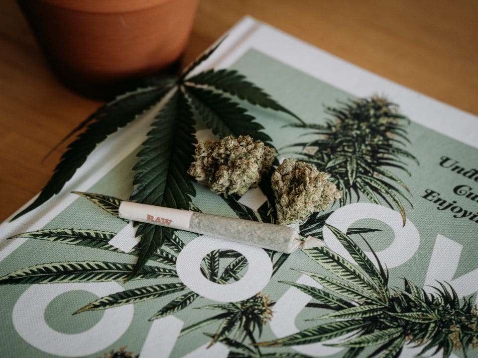 Michigan Attestation Cannabis Forms